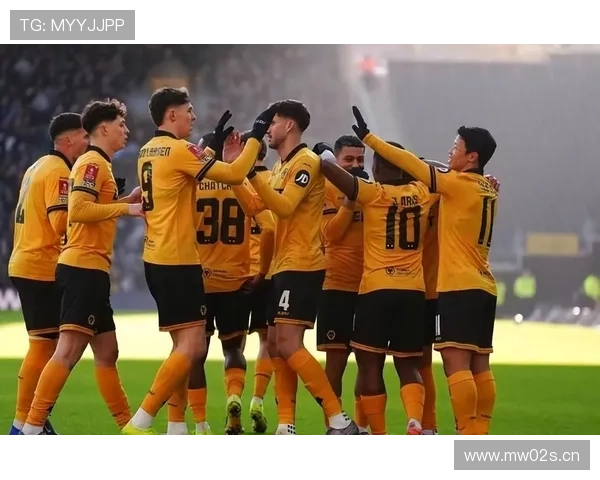 罗布爱德华兹剖析狼队未来布局